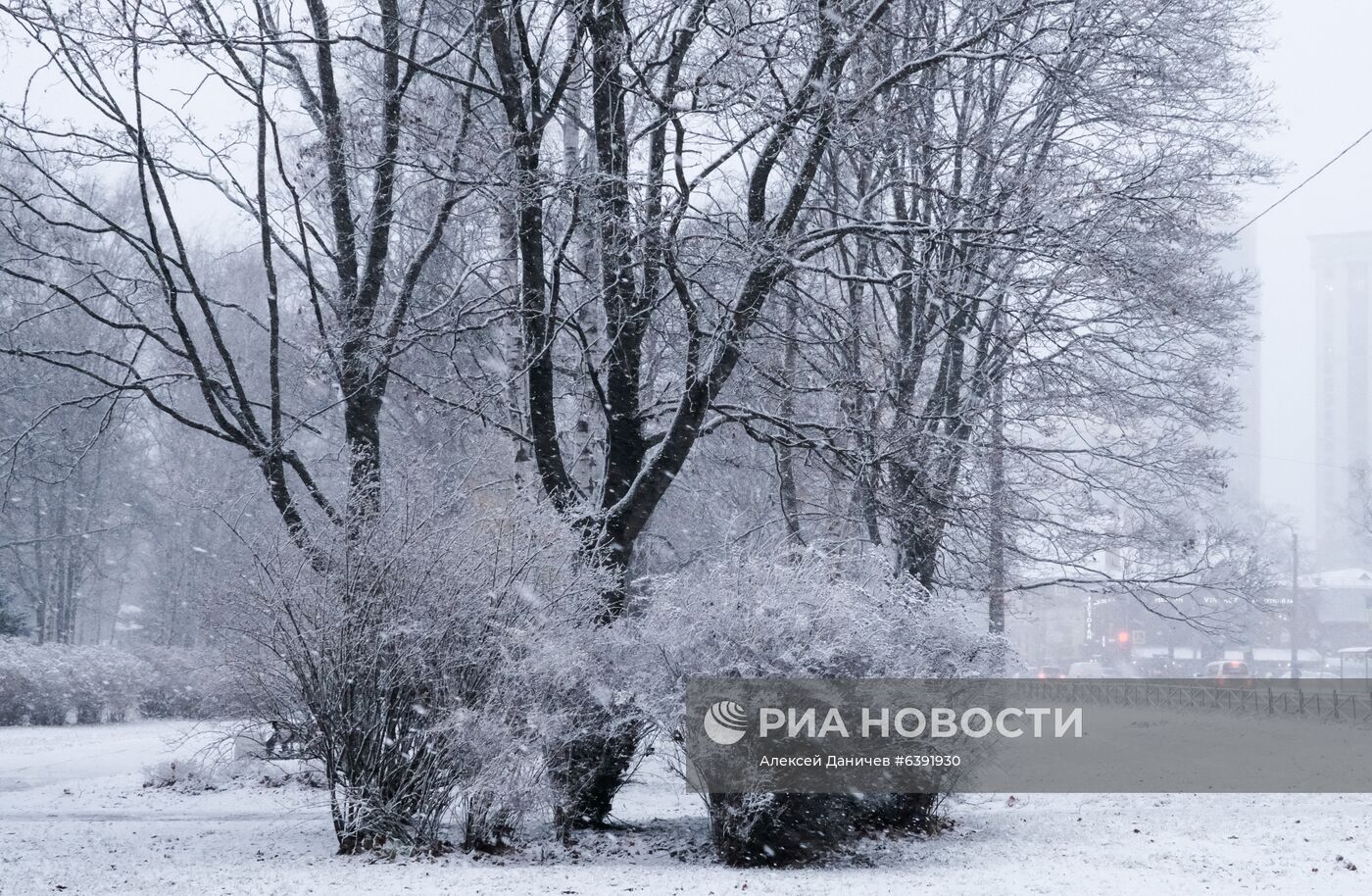 Метель в Санкт-Петербурге