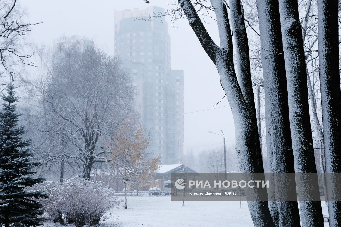 Метель в Санкт-Петербурге