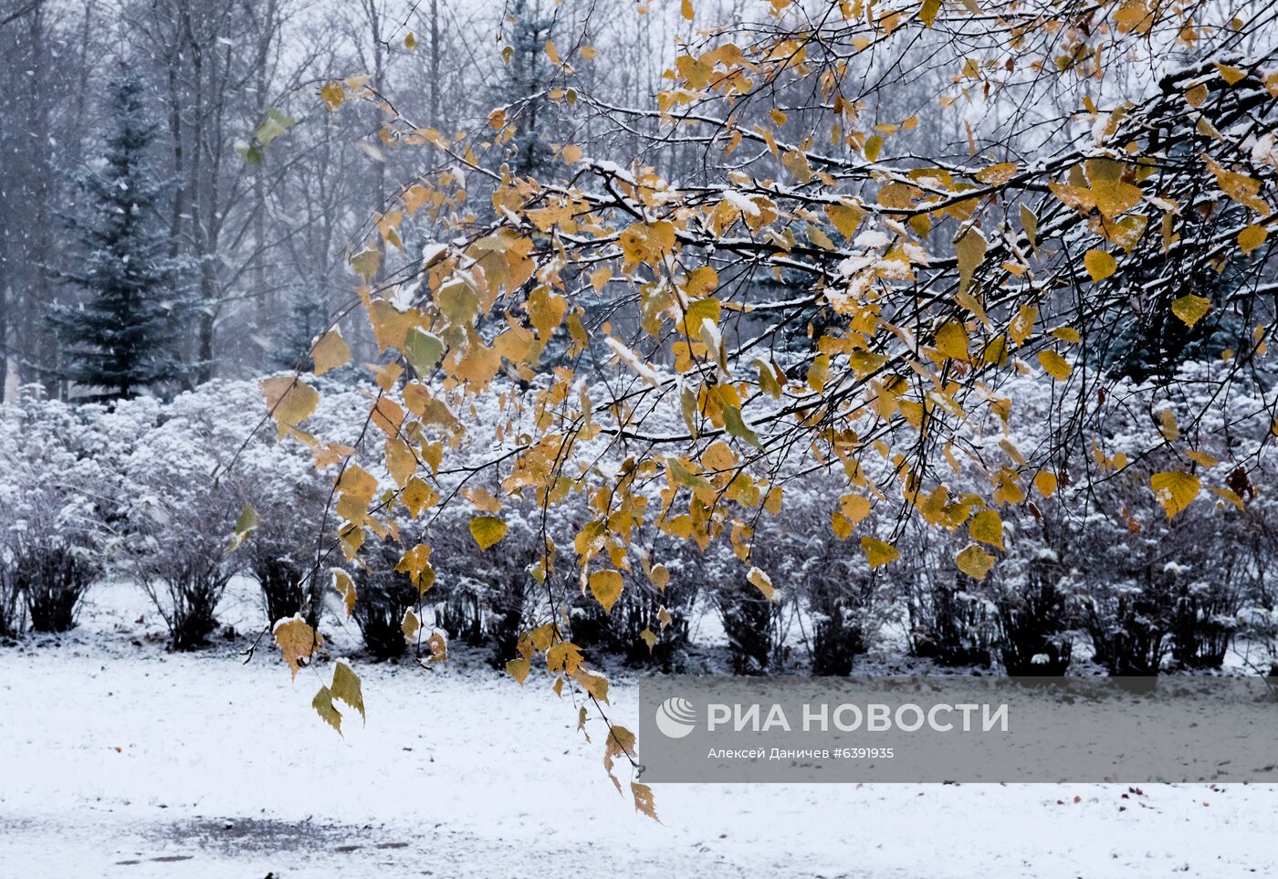 Метель в Санкт-Петербурге