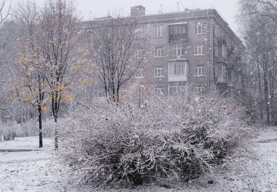 Метель в Санкт-Петербурге