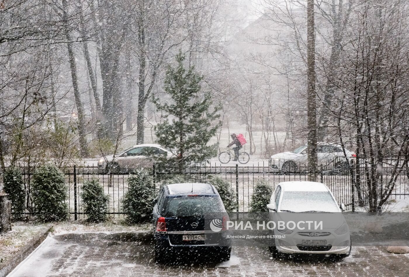 Метель в Санкт-Петербурге