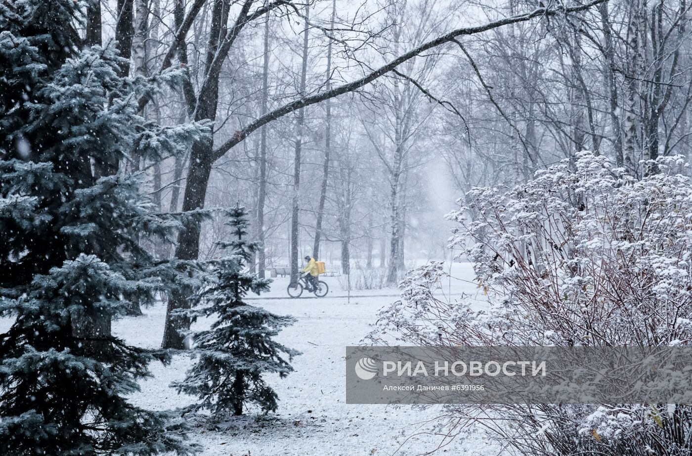 Метель в Санкт-Петербурге