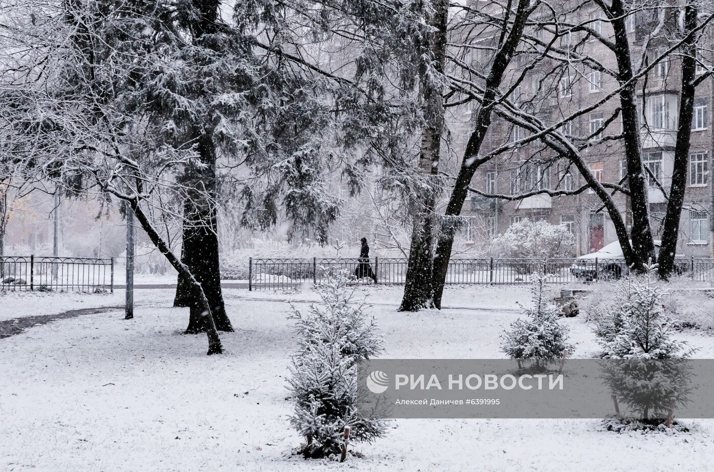 Метель в Санкт-Петербурге Метель в Санкт-Петербурге