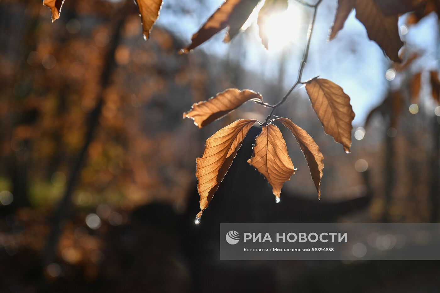 Большой каньон в Крыму