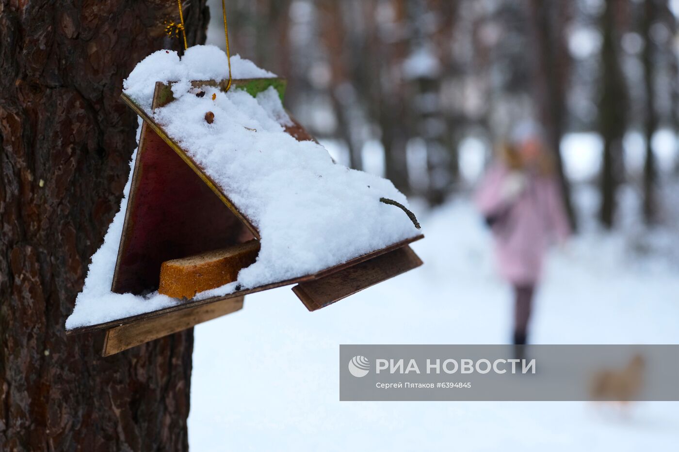 Снег в Москве