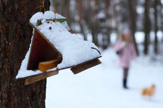 Снег в Москве