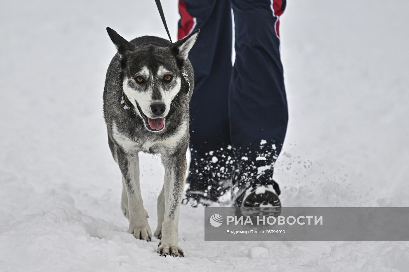 Снег в Москве