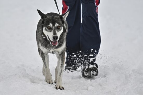 Снег в Москве