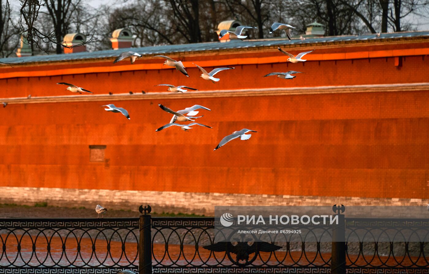 Виды Санкт-Петербурга