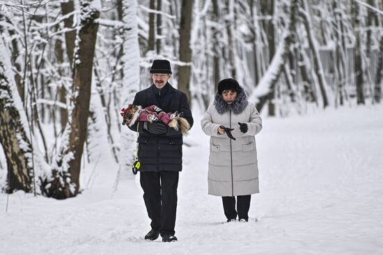 Снег в Москве
