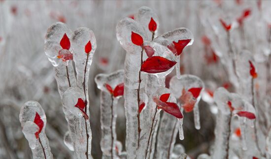 ФОТО НЕДЕЛИ