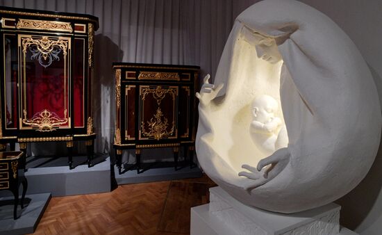 Выставка "Тайны дворцовых интерьеров. Секреты реставрации" в Петропавловской крепости