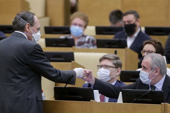 Пленарное заседание Госдумы РФ 