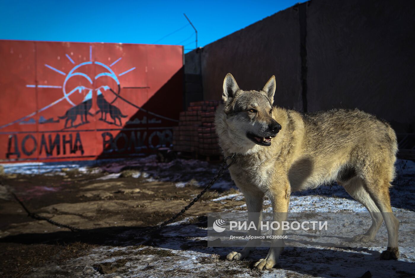 Питомник "Долина волков" в Карачаево-Черкесии