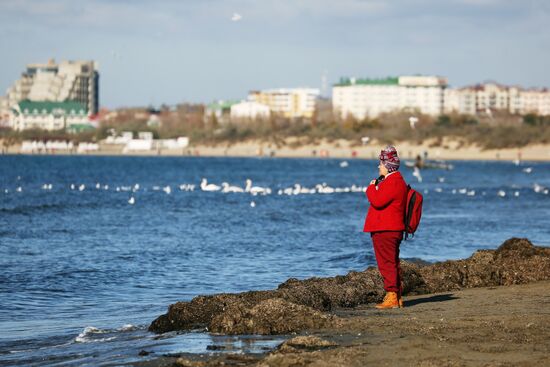 В Краснодарском крае обустраивают "зимние пляжи"
