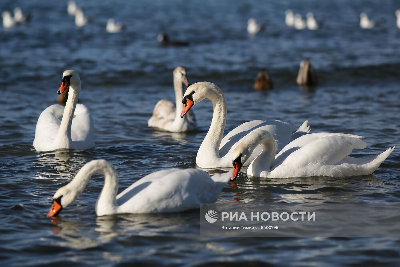 В Краснодарском крае обустраивают "зимние пляжи"