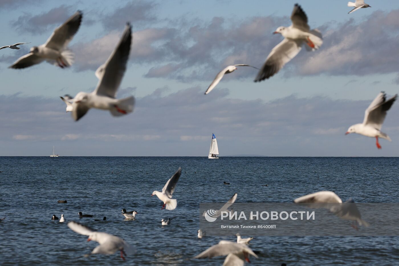 В Краснодарском крае обустраивают "зимние пляжи"