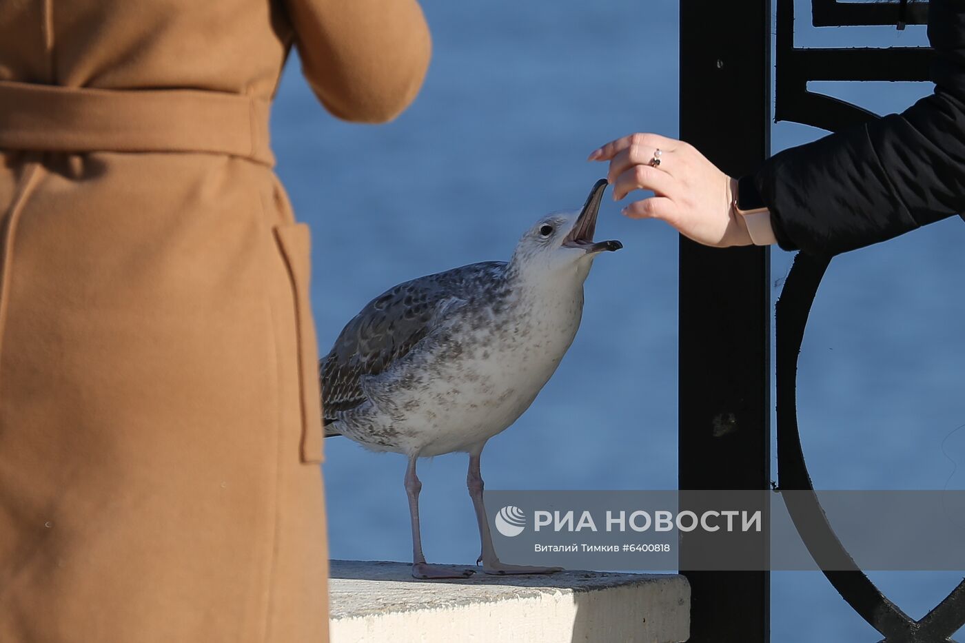 В Краснодарском крае обустраивают "зимние пляжи"