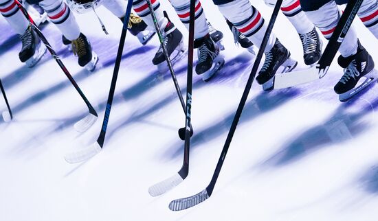 Хоккей. КХЛ. Матч "Динамо" (Москва) – "Металлург"