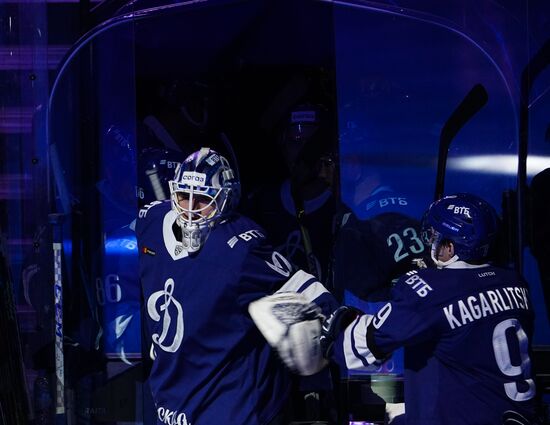 Хоккей. КХЛ. Матч "Динамо" (Москва) – "Металлург"