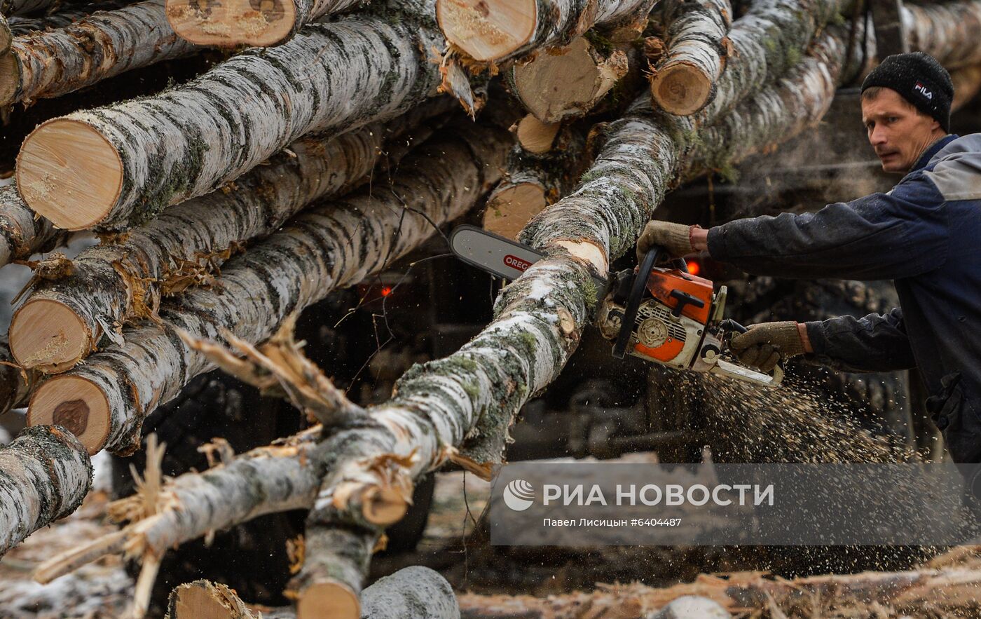 Город Верхняя Тура получил статус территории опережающего развития