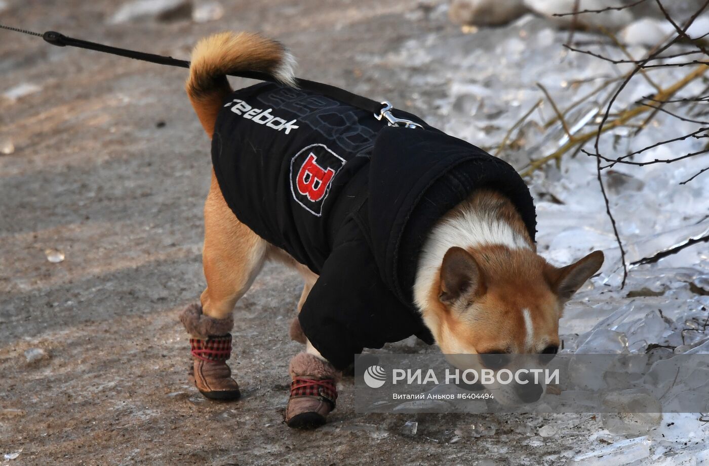 Повседневная жизнь Владивостока