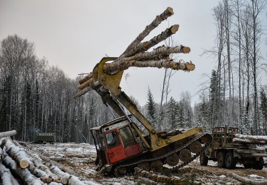 Город Верхняя Тура получил статус территории опережающего развития