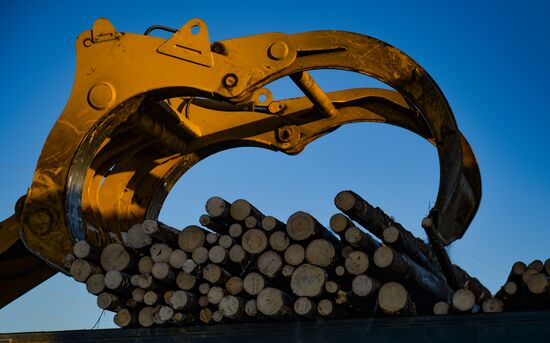 Город Верхняя Тура получил статус территории опережающего развития