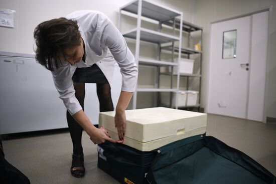 Отправка вакцины Sputnik V от COVID-19 за границу