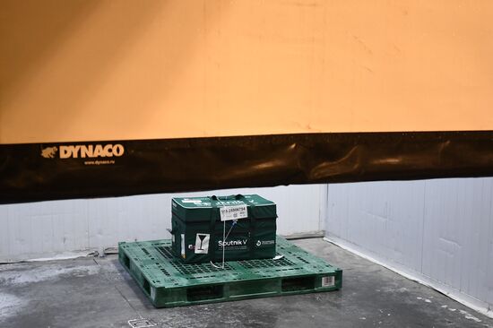 Отправка вакцины Sputnik V от COVID-19 за границу