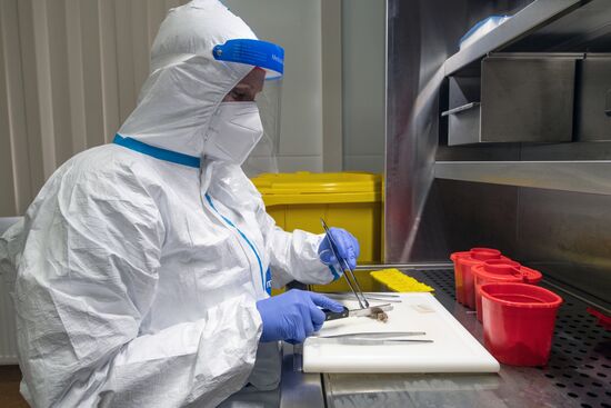 Госпиталь для больных COVID-19 в МКЦИБ "Вороновское"