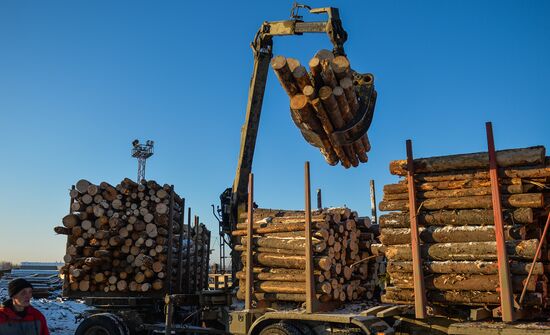 Город Верхняя Тура получил статус территории опережающего развития