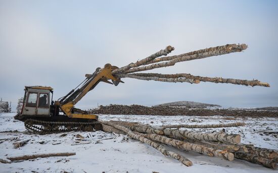 Город Верхняя Тура получил статус территории опережающего развития