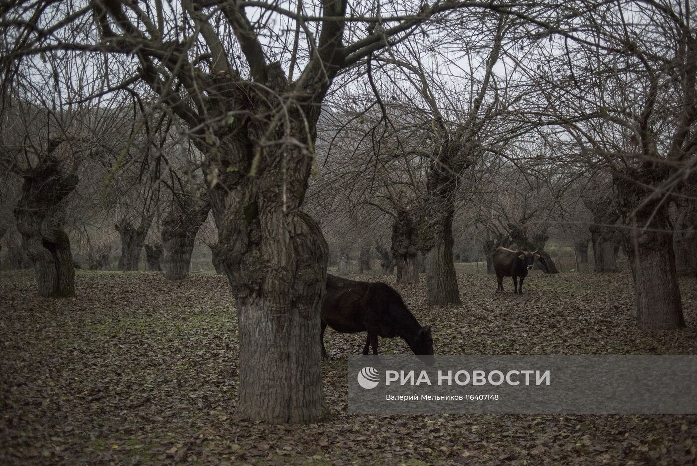 Села Сос и Мачкалашен в Нагорном Карабахе