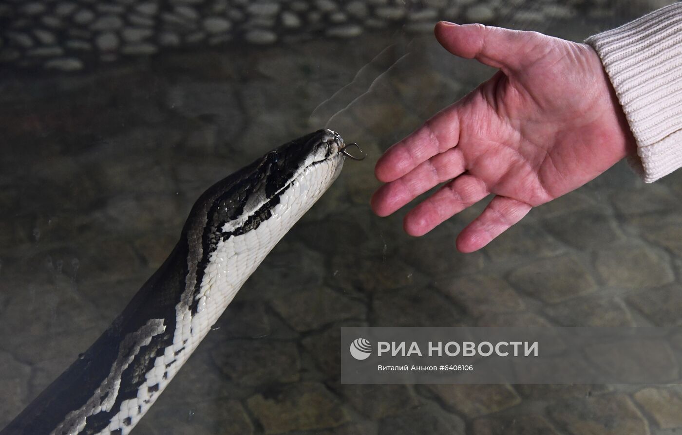 Террариум зоопарка "Садгород" во Владивостоке