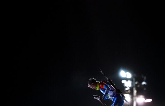 Биатлон. II этап Кубка мира. Женщины. Эстафета