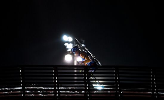 Биатлон. II этап Кубка мира. Женщины. Эстафета