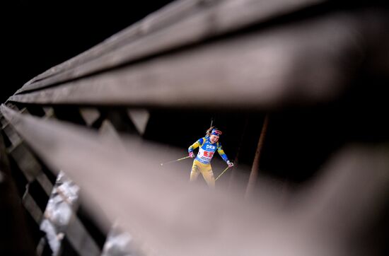 Биатлон. II этап Кубка мира. Женщины. Эстафета