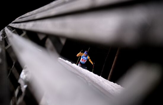 Биатлон. II этап Кубка мира. Женщины. Эстафета