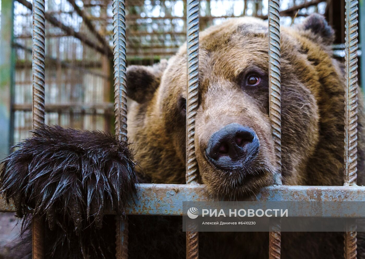 Зоопарк "Приют Белоснежки" в Ленинградской области