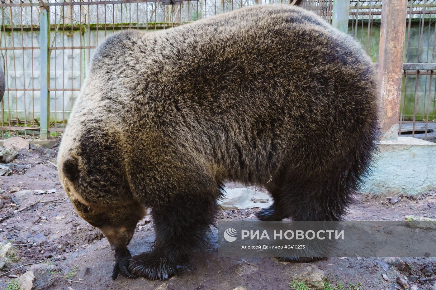 Зоопарк "Приют Белоснежки" в Ленинградской области