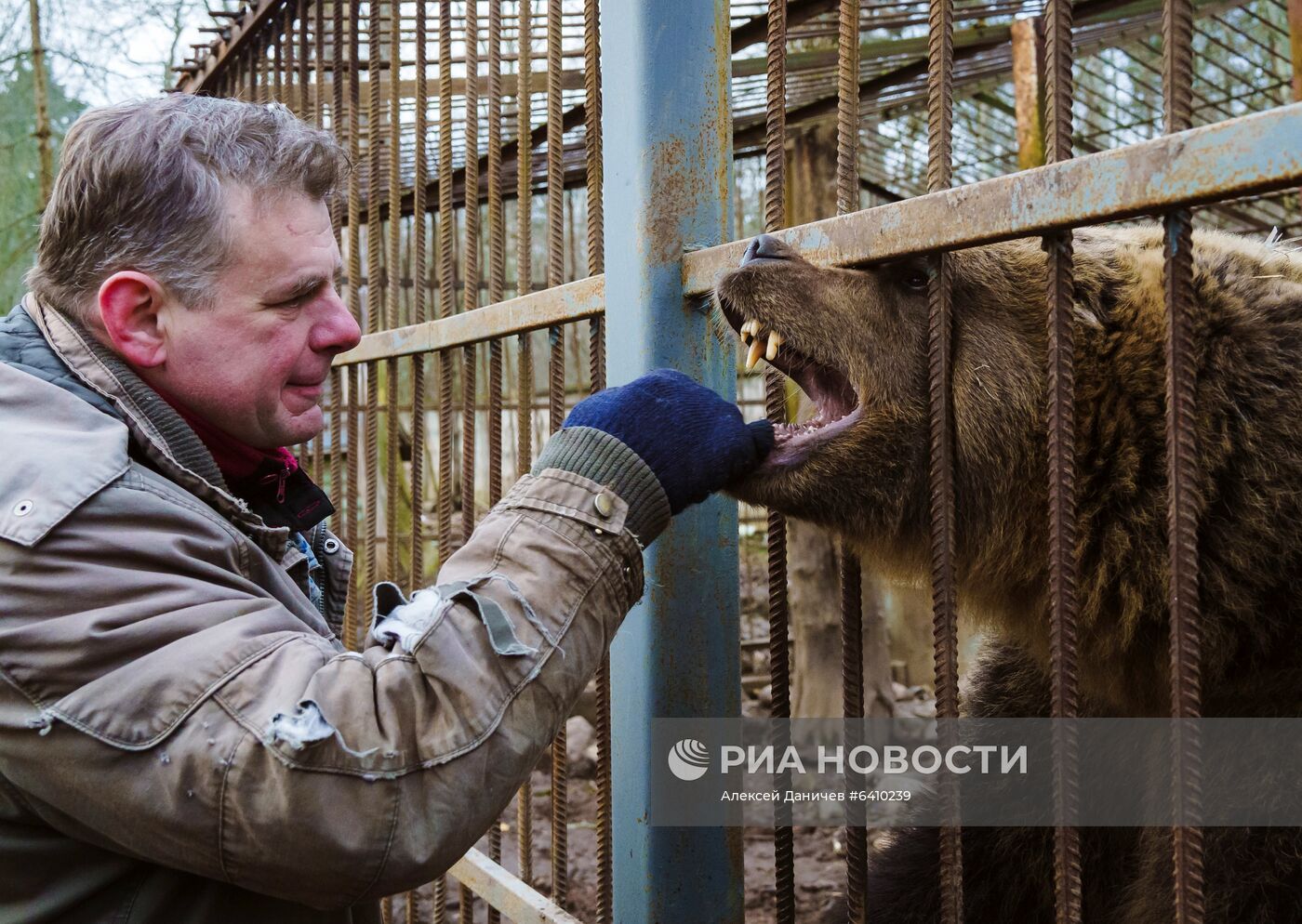 Зоопарк "Приют Белоснежки" в Ленинградской области