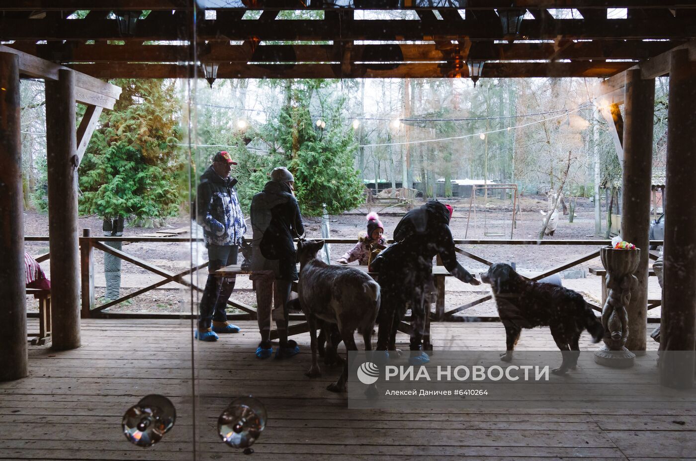 Зоопарк "Приют Белоснежки" в Ленинградской области