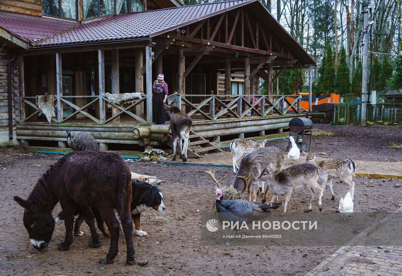 Зоопарк "Приют Белоснежки" в Ленинградской области