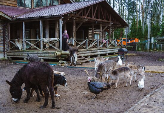 Зоопарк "Приют Белоснежки" в Ленинградской области