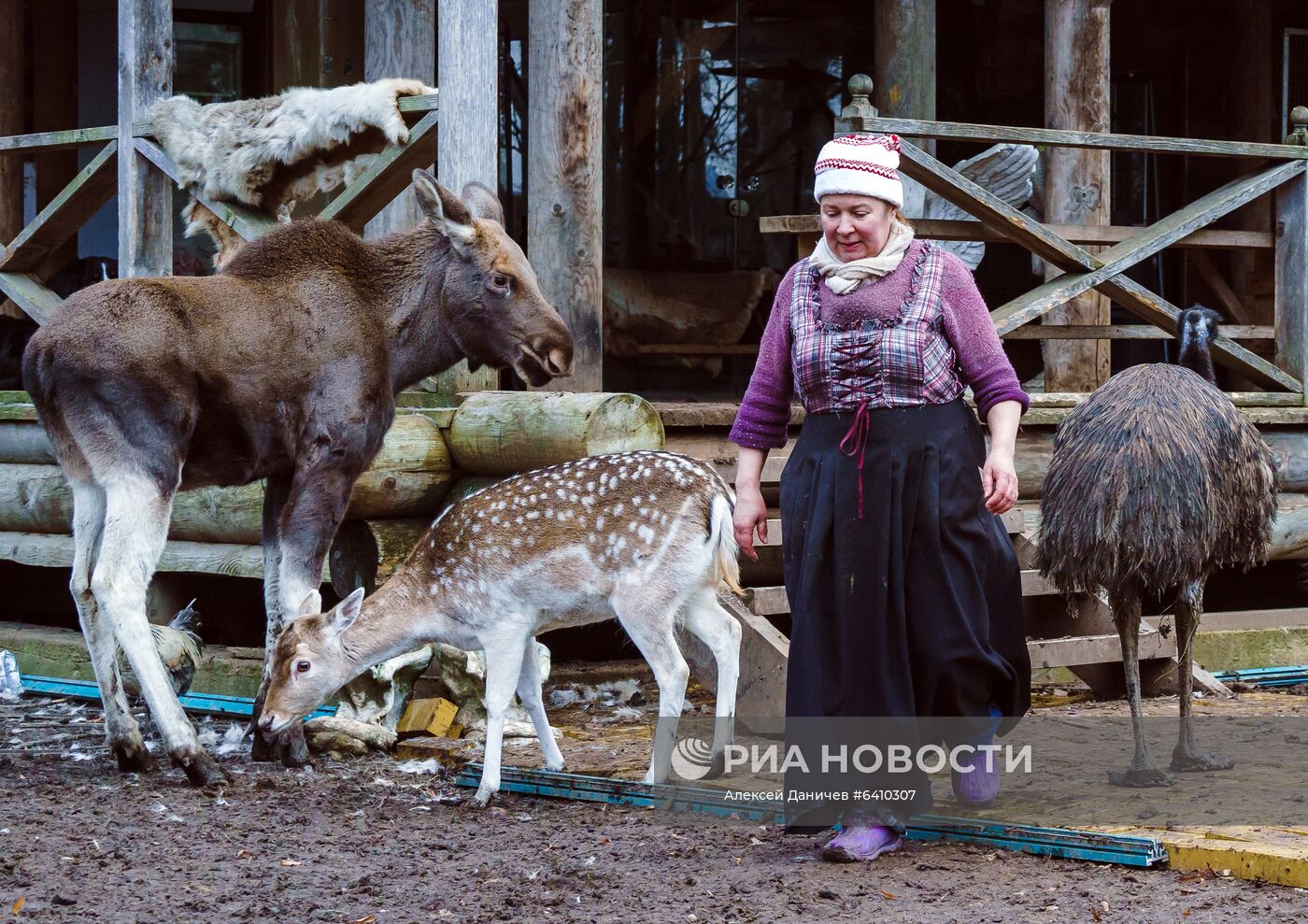 Зоопарк "Приют Белоснежки" в Ленинградской области