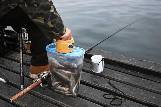 Регионы России. Крым