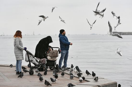 Регионы России. Крым