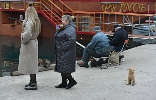 Регионы России. Крым