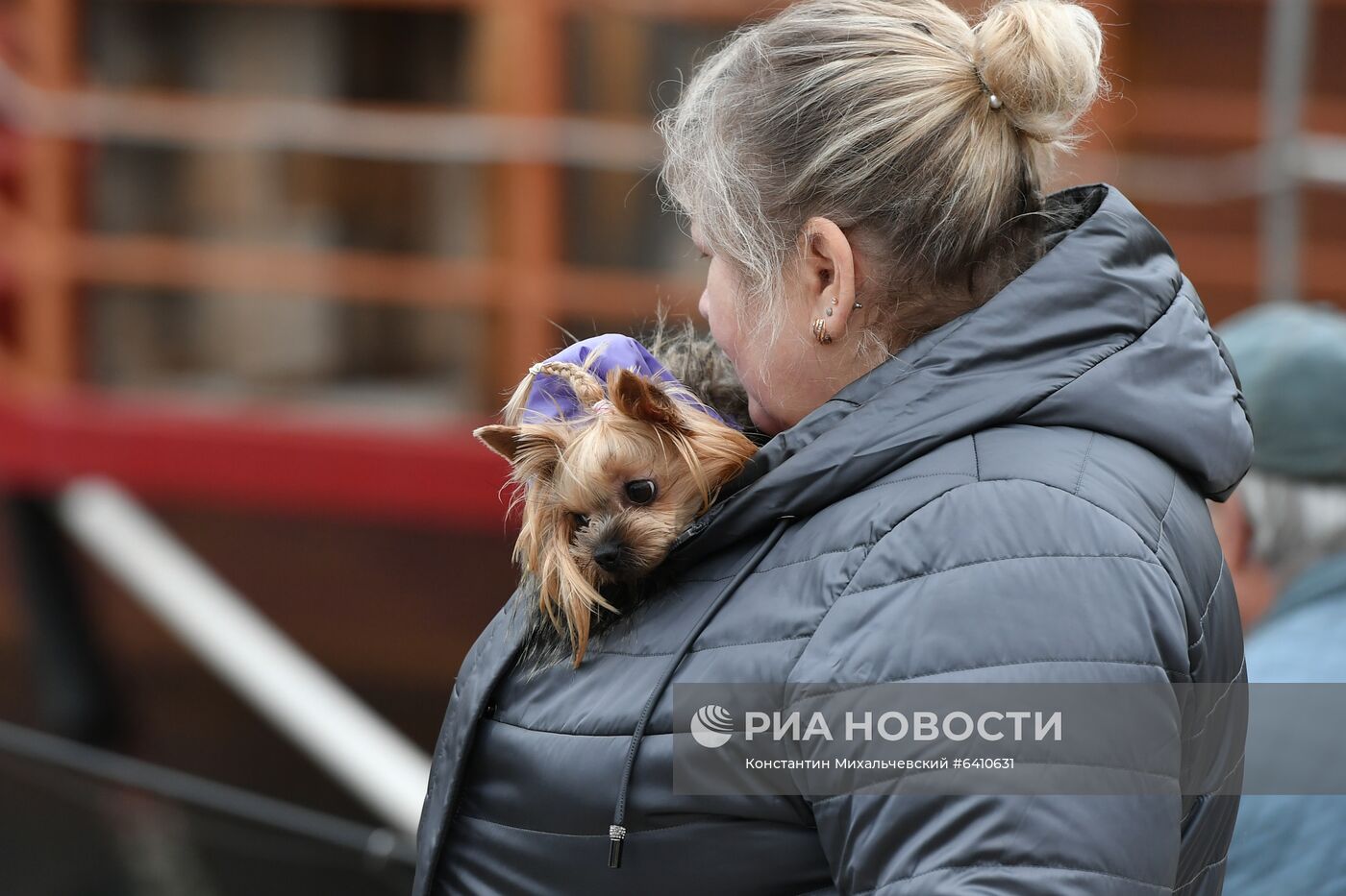 Регионы России. Крым